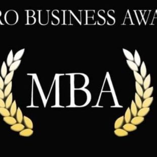 Micro business Awards Logo